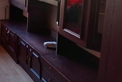 Garsoniera Tractorul- langa Coresi Mall - 1