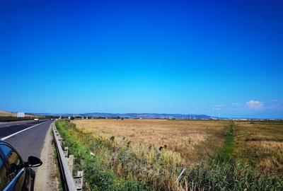 Oportunitate : Teren 3257 mp în Zona West, Aproape de Autostrada Oportunitate : Teren 3257 mp în Zona West, Aproape de Autostrada - 11