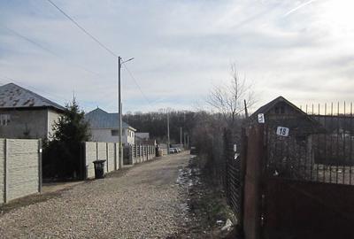 Domnesti-Teghes-Padure - 2