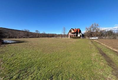 Spațiu comercial, în Călinești - 5