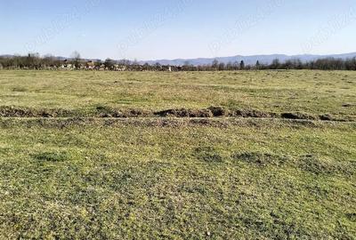 Teren de 10600 mp, în Crocna - 6