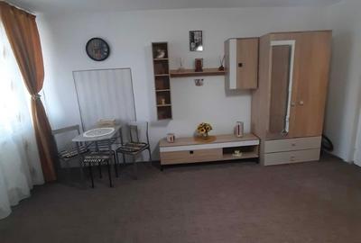 Apartament cu 1 camera, PET FRIENDLY, zona Tatarasi - 3