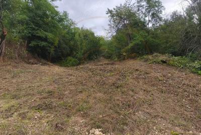 Teren 2552 mp Mosoaia Hintesti -Strada Basangesti - 5