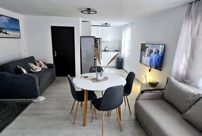 Penthouse de inchiriat-Marasti(Cinema Marasti) - 2