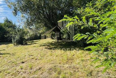 TEREN INTRAVILAN 3234 MP LERE?TI VOINE?TI ARGE? - 7