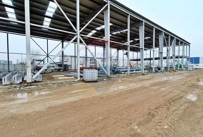 Spațiu industrial, de 3,300 mp, în Mogoșoaia - 2