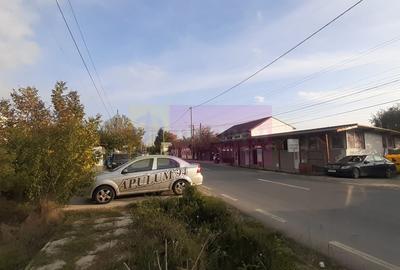 Teren Construcții intravilan de 5000 mp, în 1 Decembrie - 18