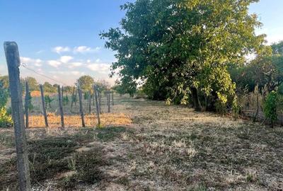 Casă cu 4 camere în Coteana