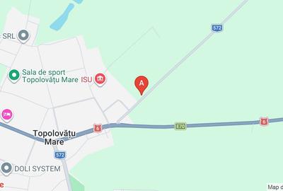 Teren Construcții intravilan de 15300 mp, în Topolovățu Mare - 1