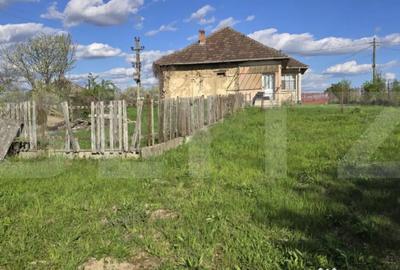 Casă cu 3 camere cu Teren 4600 Mp în Central