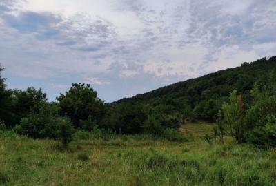 Teren intravilan Capul Piscului Meri?ani 500-1700 mp. - 5