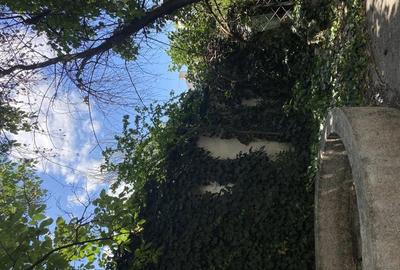 Vila zona Victoriei - 1