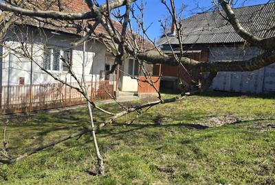 Casă cu 4 camere în Mânău - 4