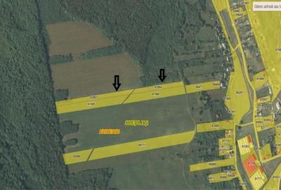 Teren agricol de 10500 mp, în Rediu Aldei - 3