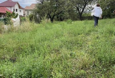 Teren de 4000 mp, în Cetățeni - 1