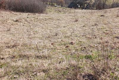 Spațiu comercial, în Vale - 6