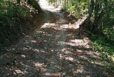 Teren de 1600 mp, în Cacica - 3