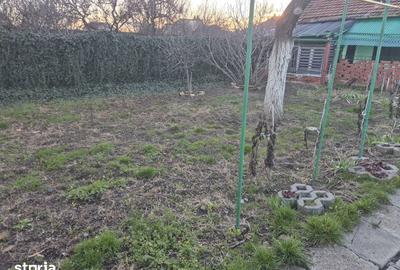 Casă cu 2 camere cu Teren 301 Mp în Pârneava - 5