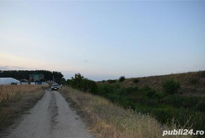 Teren de 7440 mp, în Slătioara - 2