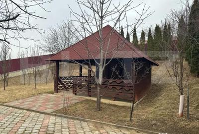 Casă cu 7 camere cu Teren 6000 Mp în Burdujeni - 13