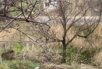 RECO Casa renovabila cu dublu front stradal in Oradea - 1