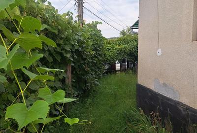 Casa + teren 1400 mp in Galgau, Salaj 3 camere, anexe, zona verde, 20 km de Dej - 6