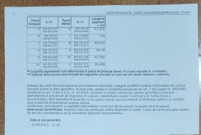 Teren de 5000 mp, în Tureni - 3