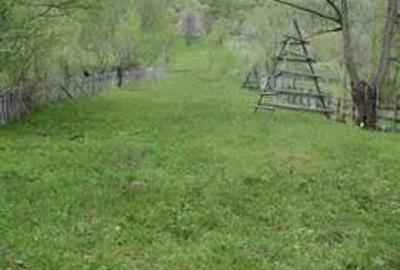 Teren de 5700 mp, în Central - 7