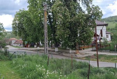 Teren de 1180 mp, în Aluniș - 6