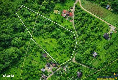 Teren de 11600 mp, în Valea Mare - 5