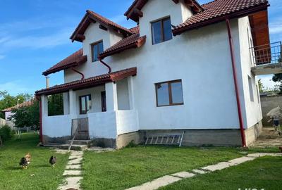 Casa la chisoda individuala - 2