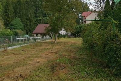 Teren Construcții intravilan de 1003 mp, în Bascov