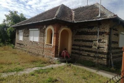 Ag BRASADAS vinde casa cu 3 cam si teren 5000mp în HOREA. - 3