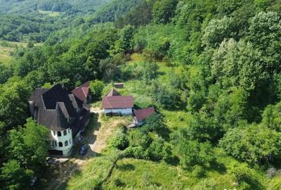 Casă cu 10 camere cu Teren 24700 Mp în Berchez - 3