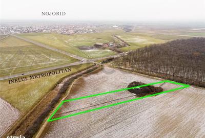 Spațiu comercial, în Nojorid - 2