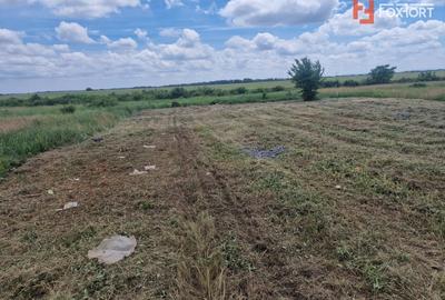 Teren Construcții intravilan de 743 mp, în Moșnița Veche - 2