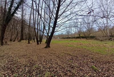 Teren Construcții intravilan de 4500 mp, în Govândari - 11