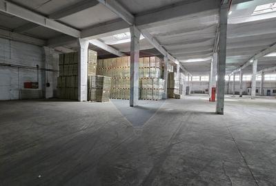 Spațiu industrial, de 6,500 mp, în Nord - 21