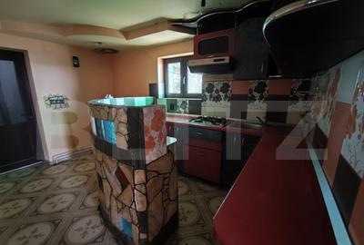 Casă cu 3 camere cu Teren 5000 Mp în Central