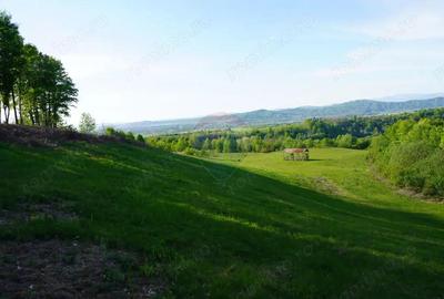 Teren 15,000mp Sighetu Marmatiei / Strada Mocani?ei - 6