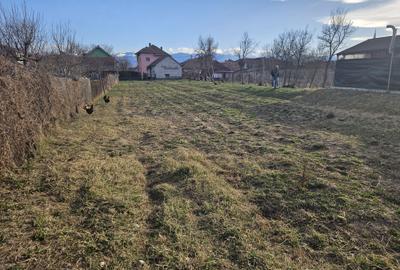 Casă cu 4 camere în Central - 2