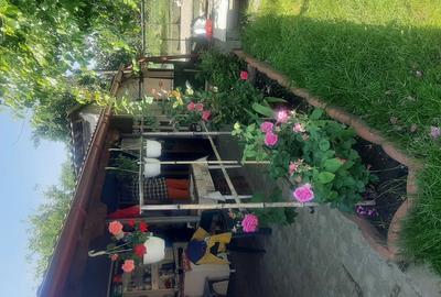 Casă cu 3 camere în Bretea Mureșană - 1