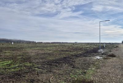 Loturi de teren 638 mp - curent tras la teren - Crevedia - 5