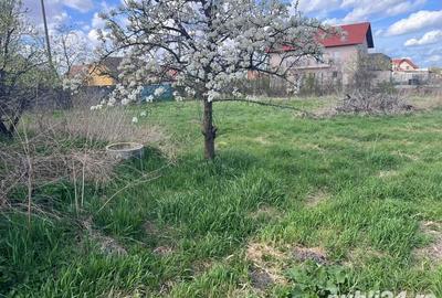 Teren de 2098 mp, în Beregsău Mare - 2