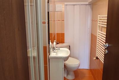 Clinceni, str. Putul Olteni - 7