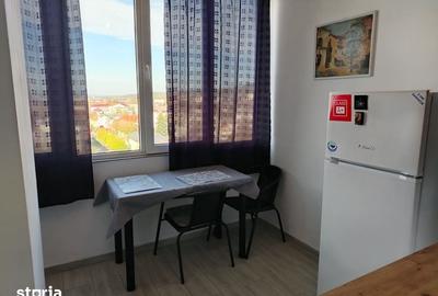 Garsonieră în Valea Borcutului - 6