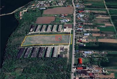 Teren de 10000 mp, în Butimanu - 2