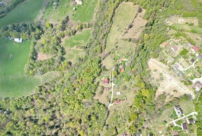 Teren intravilan Bran- Predelut - 11