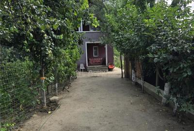 Vila Bolintin Vale - 26