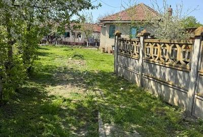 Casă cu 4 camere cu Teren 2000 Mp în Gura Vadului - 2